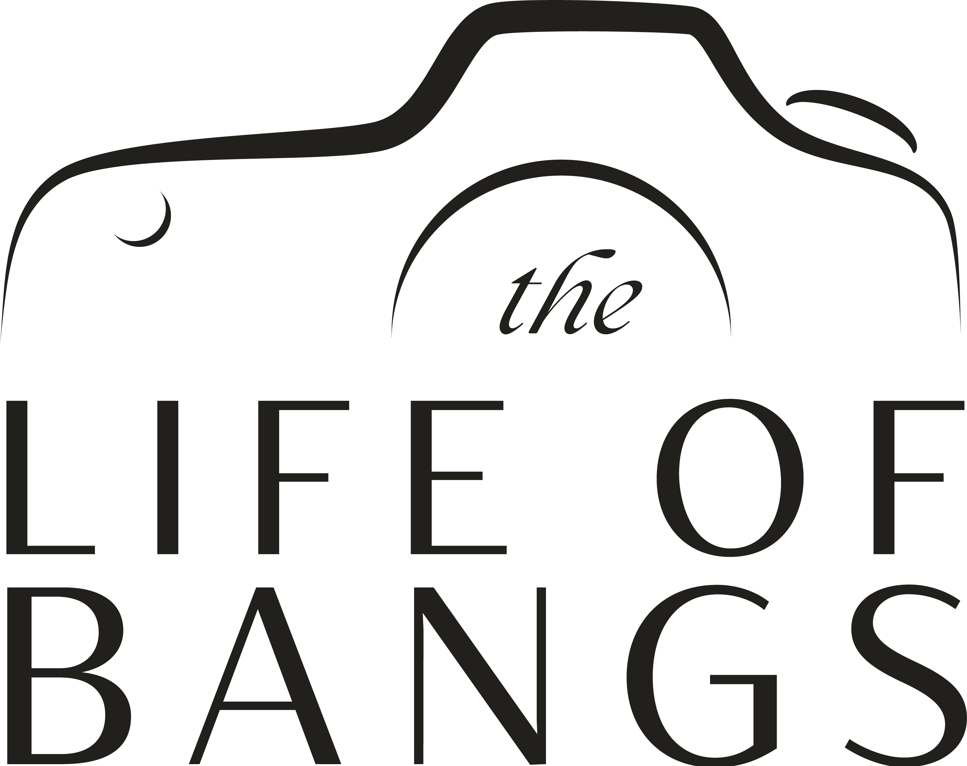 The Life Of Bangs